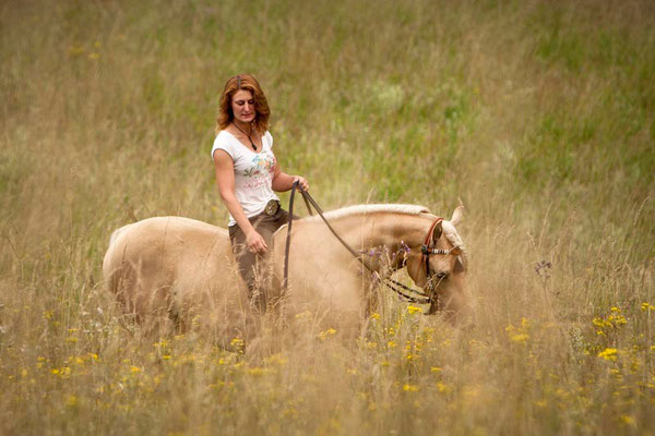 RossFoto Pferdefotografie Fotografien vom Wanderreiten Westernreiten Freiberger Pferde Quarter Horses