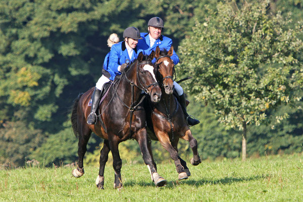 RossFoto - Dana Krimmling - Bunt wie der Herbst - Reiten im Herbst