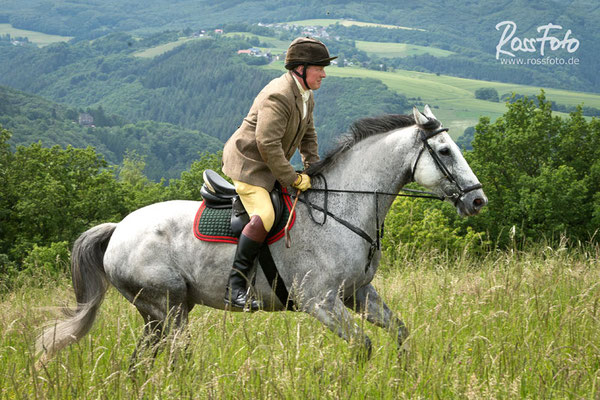 RossFoto Dana Krimmling; Schleppjagd Cappenberger Meute; Pferdefotografie; wanderreiten; westernreiten; jagdreiten; Jagdpferd; Westerwald; Hundemeute; Equipage; Jagdhunde; jagdpferd