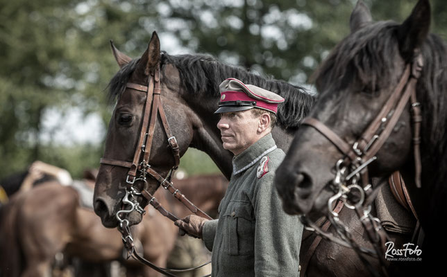 RossFoto Dana Krimmling, Deutscher Kavallerieverband, Peter Lachenmayer