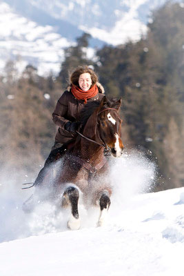 RossFoto Pferdefotografie Fotografien vom Wanderreiten Westernreiten Freiberger Pferde Quarter Horses