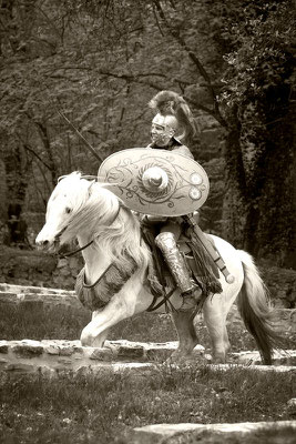 RossFoto, Dana Krimmling, Pferdefotografie, Fotografie, Wanderreiten, Westernreiten, Rom, römisch, Kavallerie, Timetrotter