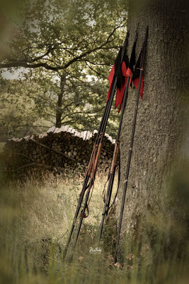 RossFoto Dana Krimmling, Württemberger Ulanen, Deutscher Kavallerieverband, Kavallerie, Kavalleriereiten, Traditionspflege