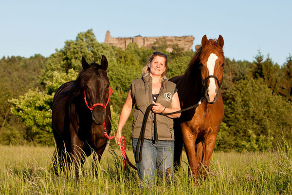 RossFoto Dana Krimmling Pferdefotografie Wanderreiten Freiberger Pferde