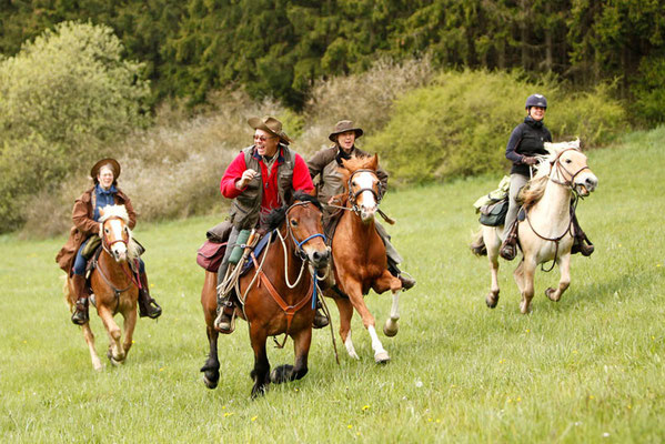 Rossfoto Fotografien vom Wanderreiten Pferdefotografie Freiberger Pferde