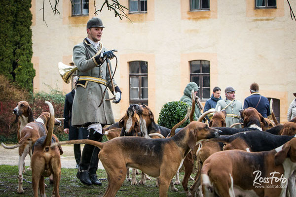 Chasse a courre Abbaye du val des Choues, RossFoto Dana Krimmling