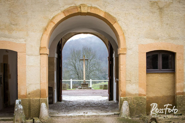 Chasse a courre Abbaye du val des Choues, RossFoto Dana Krimmling