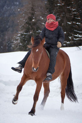 RossFoto Pferdefotografie Dana Krimmling Wanderreiten Westernreiten Freiberger Pferde Viehtrieb