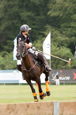 RossFoto Dana Krimmling Pferdefotografie Pferdeportraits Fotografien vom Wanderreiten Jagdreiten Polo Freiberger Pferde Altoldenburger Pferde