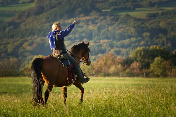 RossFoto Pferdefotografie Fotografien vom Wanderreiten Westernreiten Freiberger Pferde Quarter Horses