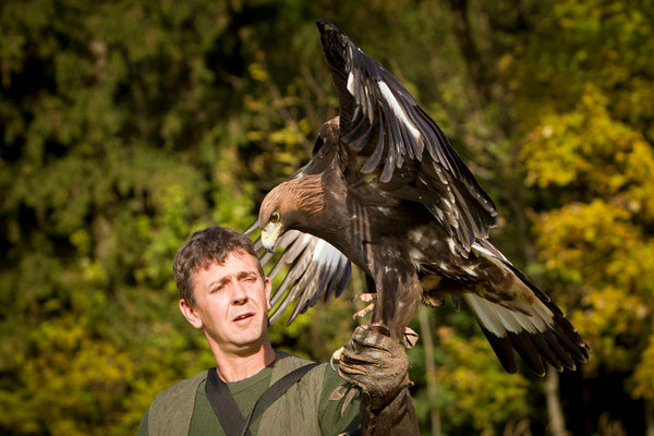 RossFoto Dana Krimmling Pferdefotografie Fotografien vom Wanderreiten Theo Blaickner Steinadler Beizjagd Falkner