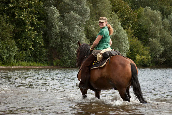 RossFoto Dana Krimmling Pferdefotografie Fotografien vom Wanderreiten Pferd in Wasser