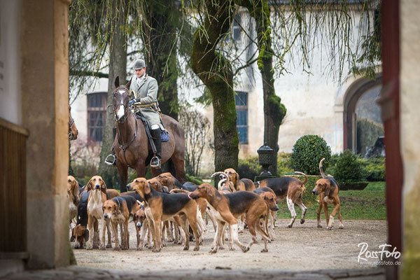 Chasse a courre Abbaye du val des Choues, RossFoto Dana Krimmling