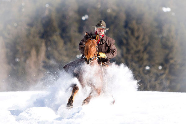 RossFoto Pferdefotografie Fotografien vom Wanderreiten Westernreiten Freiberger Pferde Quarter Horses