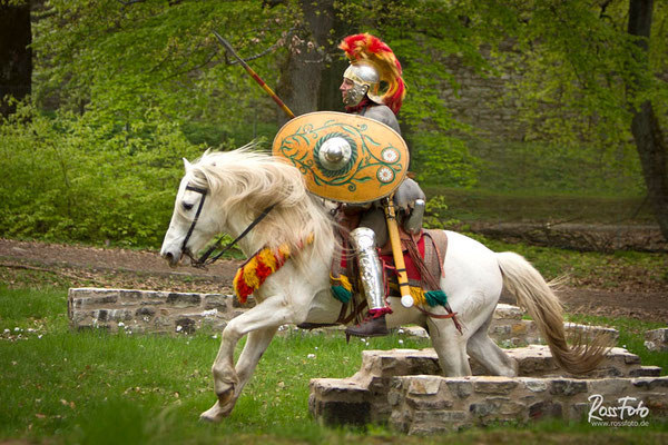 RossFoto, Dana Krimmling, Pferdefotografie, Fotografie, Wanderreiten, Westernreiten, Rom, römisch, Kavallerie, Timetrotter