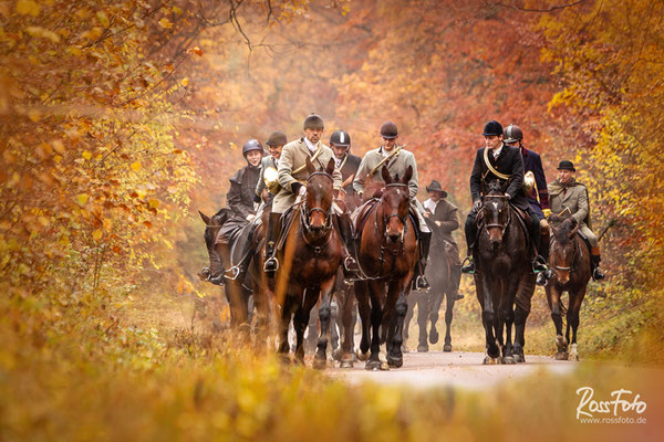 Chasse a courre Abbaye du val des Choues, RossFoto Dana Krimmling