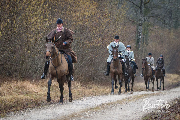 Chasse a courre Abbaye du val des Choues, RossFoto Dana Krimmling