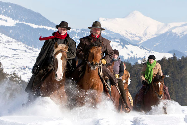 RossFoto Pferdefotografie Fotografien vom Wanderreiten Westernreiten Freiberger Pferde Quarter Horses