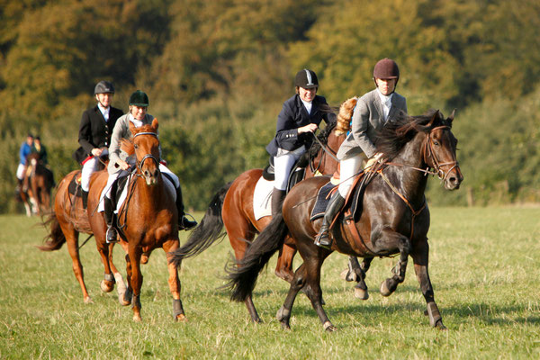 RossFoto - Dana Krimmling - Bunt wie der Herbst - Reiten im Herbst