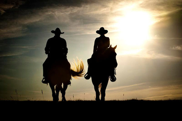 RossFoto Pferdefotografie Fotografien vom Wanderreiten Westernreiten Freiberger Pferde Quarter Horses