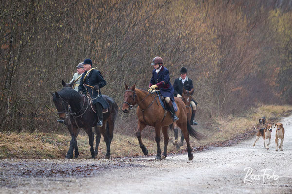 Chasse a courre Abbaye du val des Choues, RossFoto Dana Krimmling