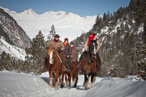 RossFoto Pferdefotografie Dana Krimmling Wanderreiten Westernreiten Freiberger Pferde Viehtrieb