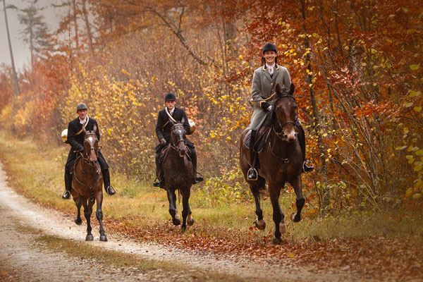 Chasse a courre Abbaye du val des Choues, RossFoto Dana Krimmling