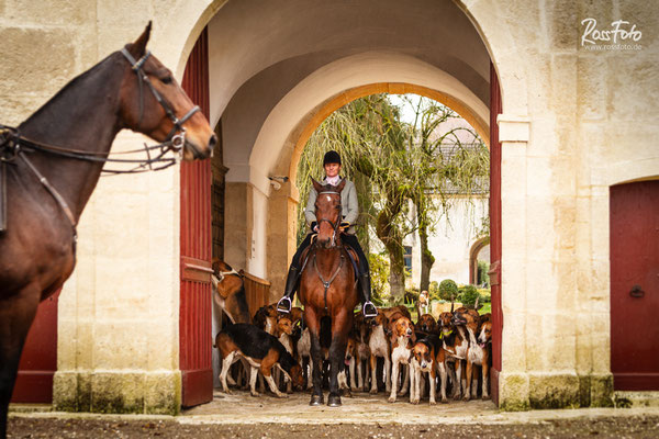 Chasse a courre Abbaye du val des Choues, RossFoto Dana Krimmling