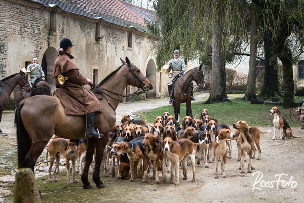 Chasse a courre Abbaye du val des Choues, RossFoto Dana Krimmling