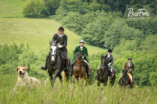 RossFoto Dana Krimmling; Schleppjagd Cappenberger Meute; Pferdefotografie; wanderreiten; westernreiten; jagdreiten; Jagdpferd; Westerwald; Hundemeute; Equipage; Jagdhunde; jagdpferd