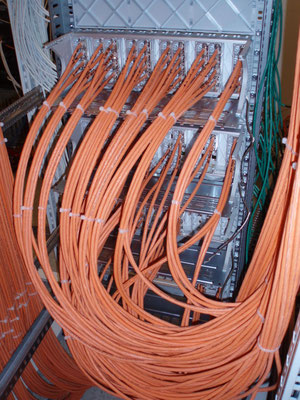 EDV Rack