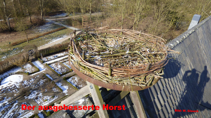 Der ausgebesserte Horst       Bild: W. Glauch