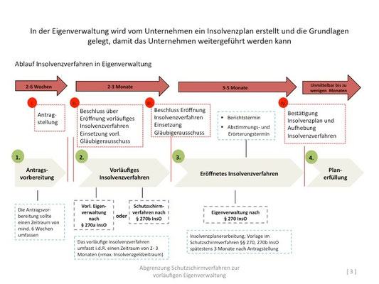 Sanierung unter Insolvenzschutz - Deutsches Institut für ...