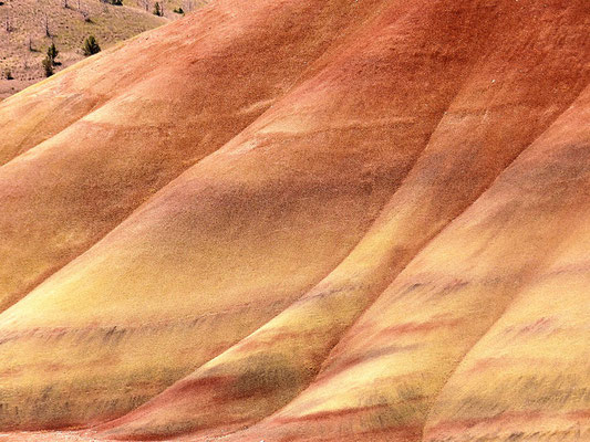 Painted Hills - John Day Fossil Beds - Oregon by Ralf Mayer