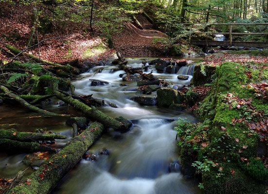 Karlstalschlucht bei Trippstadt by Ralf Mayer