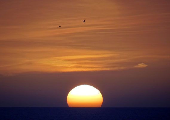 Sundown St. Petersburg Beach - Florida by Ralf Mayer