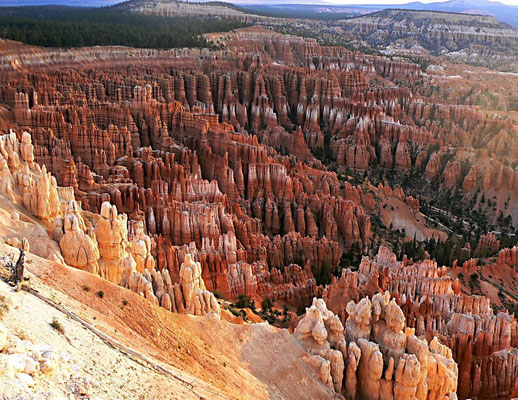 Bryce Canyon Nationalpark - Utah by Ralf Mayer