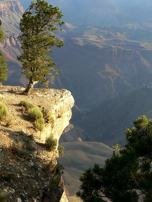 Grand Canyon Nationalpark - Arizona by Ralf Mayer