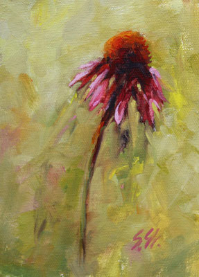 Echinacea, 12 x 16 cm, Öl