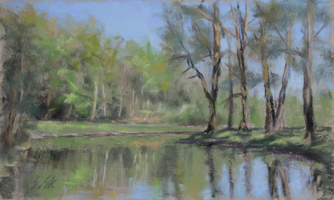 Frühlingssonne, 11 x 19 cm, Pastell
