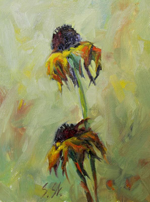 Verblüht, 12 x 16 cm, Öl
