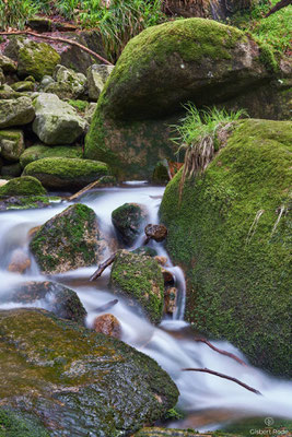 Im Harz