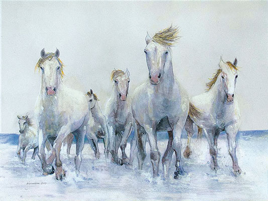 Camargue 36 x 46 cm