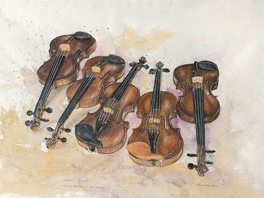 Amati bis Stradivari 34 x 44 cm