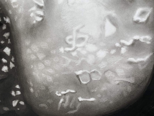 Peter Hock, "Teratom", 2021, Kohle/Papier, 200 x 150 cm. Detail