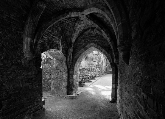 Kreuzgewölbe, Tintern Abbey 2014
