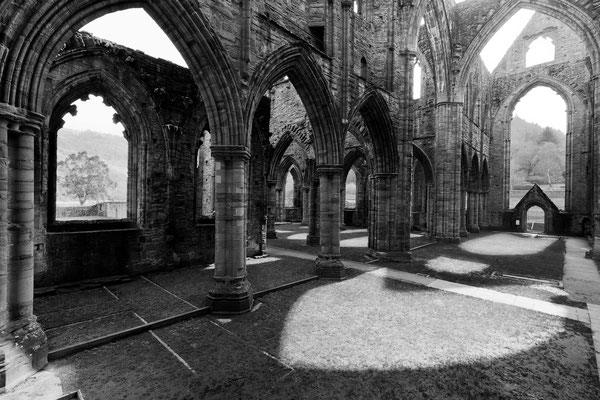 Tintern Cathedral, Ruine, Licht und Schatten, 2014