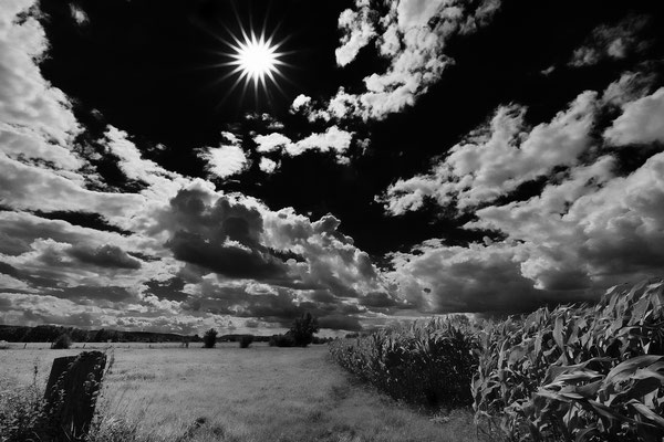 Wolken und Sonne am Maisfeld, Bückeburg 2020