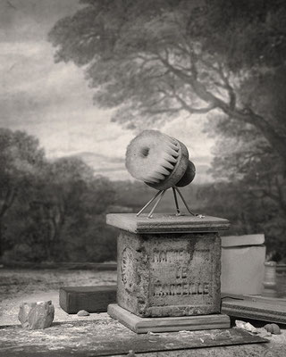 Brosse à Champignons, 2019