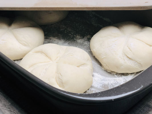Deckel auflegen und ab dammit in den Backofen